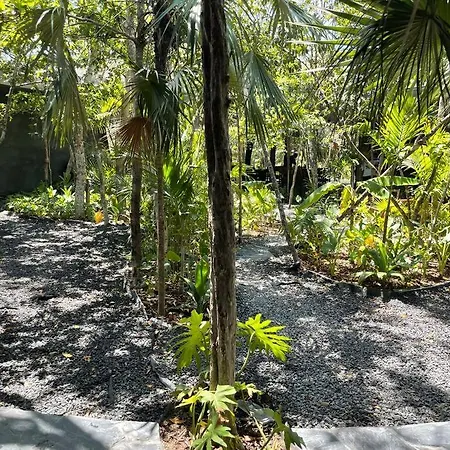 Casa Mariposa - Private Jungle Luxury In Luum Zama Apartment