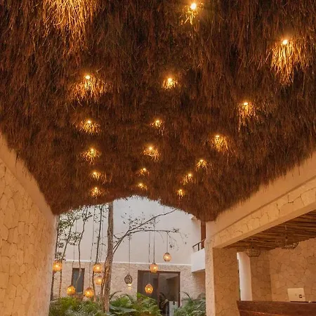 Deluxe 1br @ Luum Zama + Spa, Pool & Temazcal Apartment