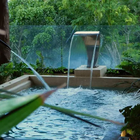 1 Bedroom Wjungle View Top Lx Amenities Apartment
