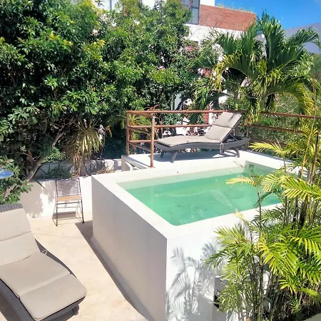 Estudio En Jungle Rooftop Con Terraza Y Alberca Privada Aldea Zama