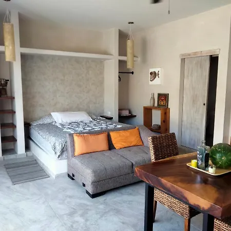 Estudio En Jungle Rooftop Con Terraza Y Alberca Privada Aldea Zama * Tulum