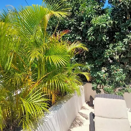 Apartment Estudio En Jungle Rooftop Con Terraza Y Alberca Privada Aldea Zama Tulum