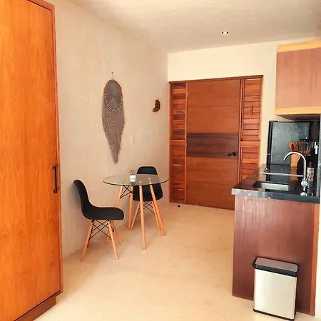 Charming Studio, Fully Equipped, Fiber Optic Wifi * Tulum