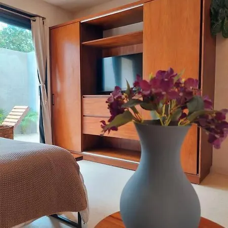 Charming Studio, Fully Equipped, Fiber Optic Wifi Tulum