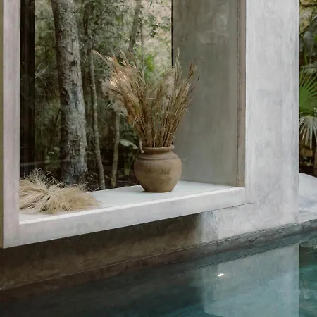 Casa Aviv House Design Awards Dream Swim-up Pool 360 View Rooftop & Lush Gardens Holiday home