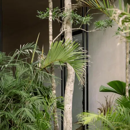 Holiday home Casa Aviv House Design Awards Dream Swim-up Pool 360 View Rooftop & Lush Gardens *