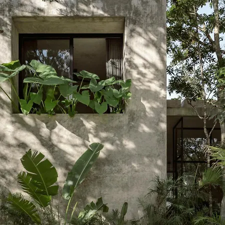 Casa Aviv House Design Awards Dream Swim-up Pool 360 View Rooftop & Lush Gardens Holiday home *