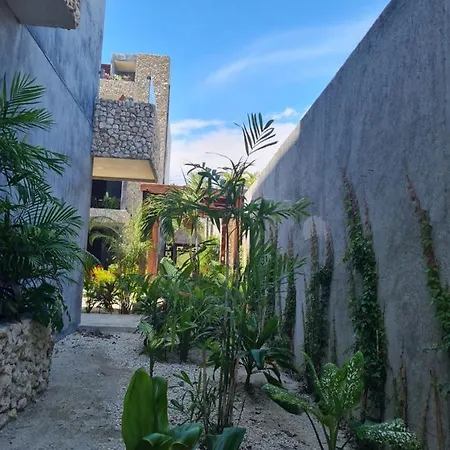 Gorgeus Xentum Complex In Pool Garden By Yeah * Tulum