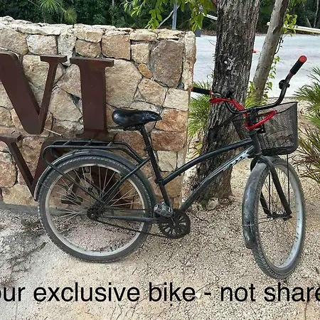 Gorgeous Rooftop Pool - Jungle Views- 2 Free Bikes *