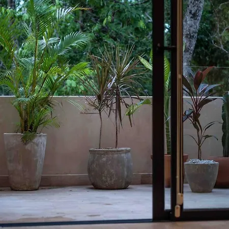 Gorgeous Rooftop Pool - Jungle Views- 2 Free Bikes
