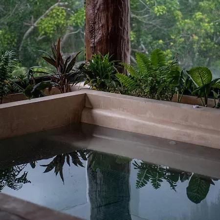 Gorgeous Rooftop Pool - Jungle Views- 2 Free Bikes