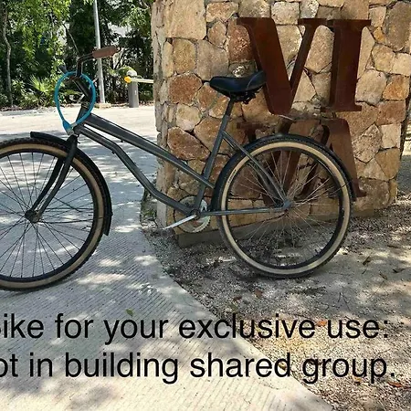 Gorgeous Rooftop Pool - Jungle Views- 2 Free Bikes *