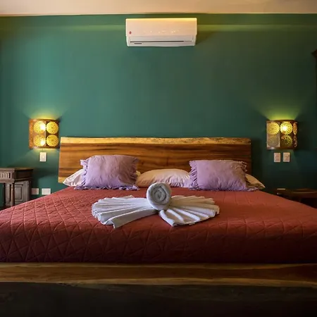 Hotel Sonno Cielito 4*