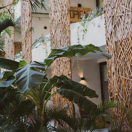 Hotel Jade