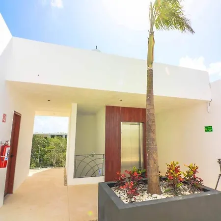 Spectacular Jungle In The Jungle Rooftop Pool Gym Bbq Tulum