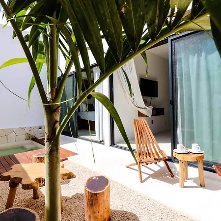 Spectacular Jungle In The Jungle Rooftop Pool Gym Bbq