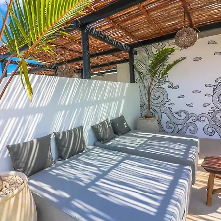 Spectacular Jungle In The Jungle Rooftop Pool Gym Bbq *