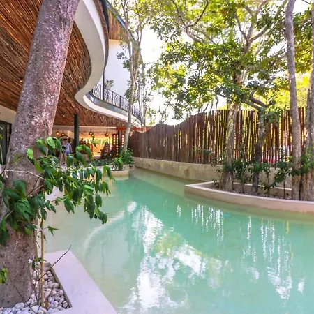 Spectacular Jungle In The Jungle Rooftop Pool Gym Bbq Tulum