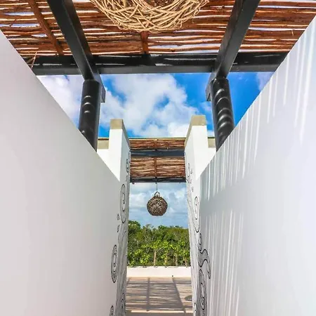 Spectacular Jungle In The Jungle Rooftop Pool Gym Bbq Apartment