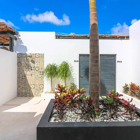 Spectacular Jungle In The Jungle Rooftop Pool Gym Bbq * Tulum