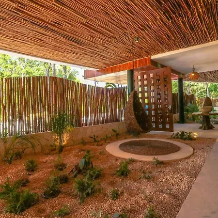 Spectacular Jungle In The Jungle Rooftop Pool Gym Bbq Apartment