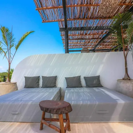 Spectacular Jungle In The Jungle Rooftop Pool Gym Bbq