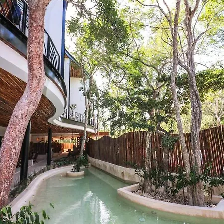 Spectacular Jungle In The Jungle Rooftop Pool Gym Bbq *