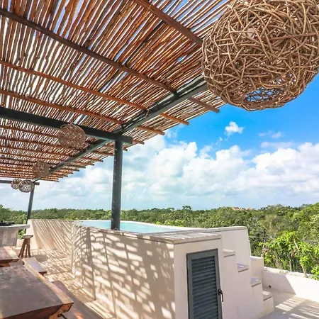 Spectacular Jungle In The Jungle Rooftop Pool Gym Bbq Apartment