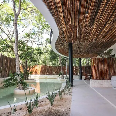 Spectacular Jungle In The Jungle Rooftop Pool Gym Bbq
