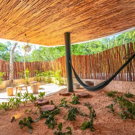 Spectacular Jungle In The Jungle Rooftop Pool Gym Bbq * Tulum