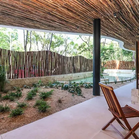 Spectacular Jungle In The Jungle Rooftop Pool Gym Bbq Apartment *