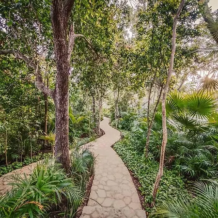 Tulum's Hidden Gem: Luxury 1br With Cenote Access *