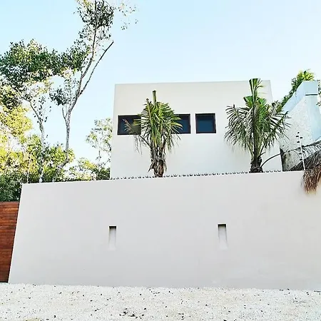 Villa Exotic For 10 People With Cenote-style Pool *