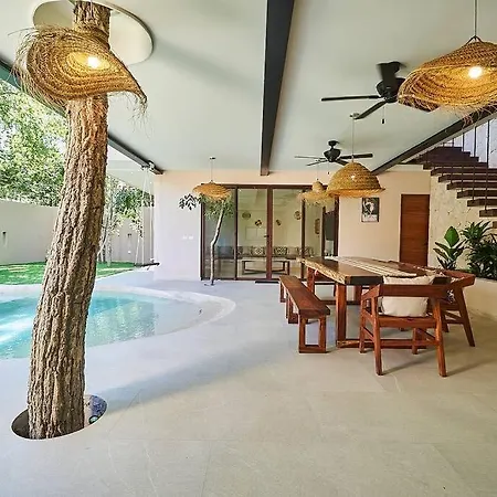 Villa Exotic For 10 People With Cenote-style Pool *