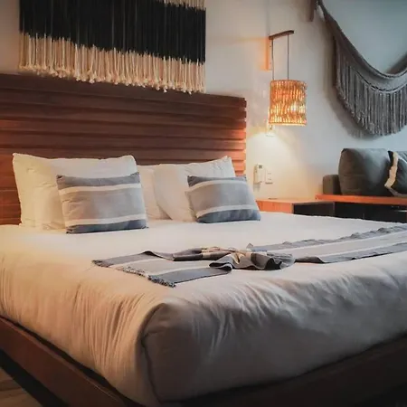 De Lanzamiento Alterhome Luxury Studio Apartment *