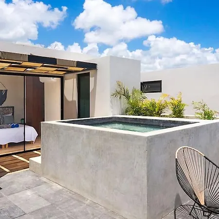 Rooftop W/private Pool. Close To Beach/town. 60mb Tulum
