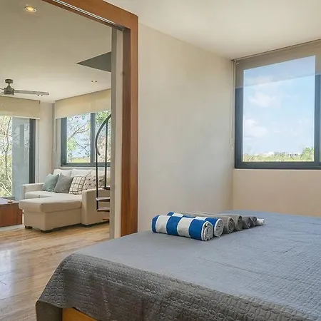 Rooftop W/private Pool. Close To Beach/town. 60mb *