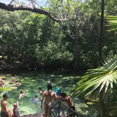 Apartment Rooftop W/private Pool. Close To Beach/town. 60mb Tulum