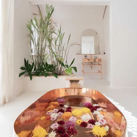 Hotel Anat Tantric Boutique 5*