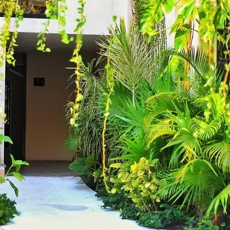 Apartment Heart&soul Ph Location In Tulum