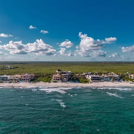 Jungle View 1br Easy Access To The Beach And Cenotes Apartment *