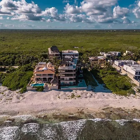 Jungle View 1br Easy Access To The Beach And Cenotes