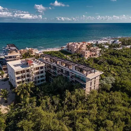 Jungle View 1br Easy Access To The Beach And Cenotes Apartment *
