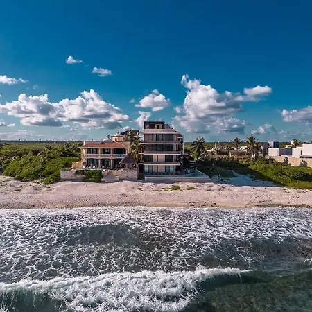 Jungle View 1br Easy Access To The Beach And Cenotes * Tulum