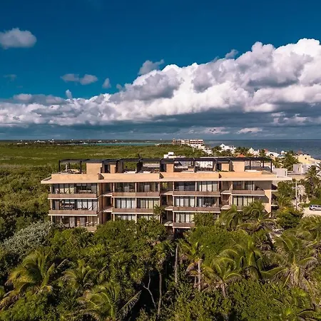 Jungle View 1br Easy Access To The Beach And Cenotes Tulum