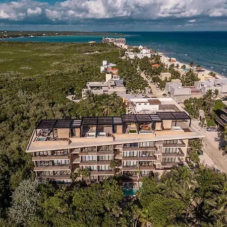 Jungle View 1br Easy Access To The Beach And Cenotes Apartment *
