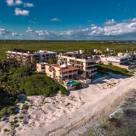 Jungle View 1br Easy Access To The Beach And Cenotes