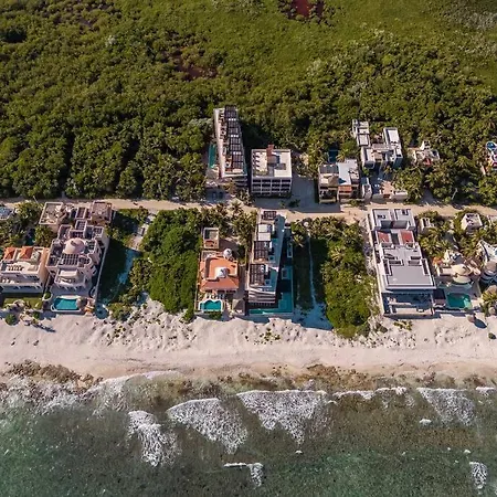 Jungle View 1br Easy Access To The Beach And Cenotes * Tulum