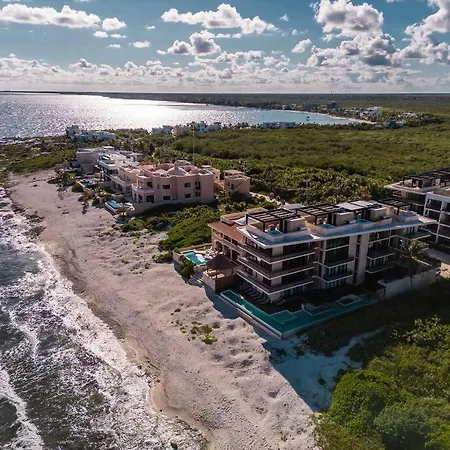 Jungle View 1br Easy Access To The Beach And Cenotes