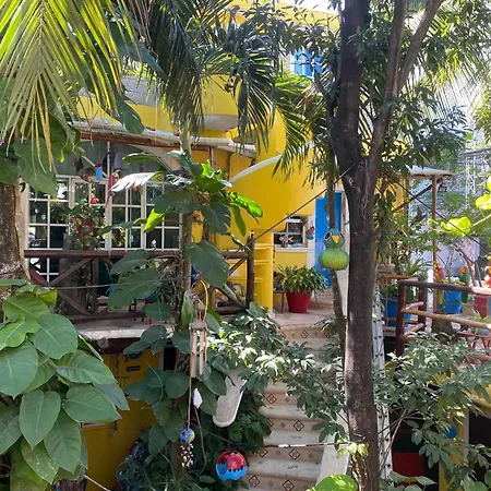 Maison Hotel Tulum